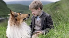 13 Film a kutyákról, amelyek inspirálnak egy kiskutya vásárlást